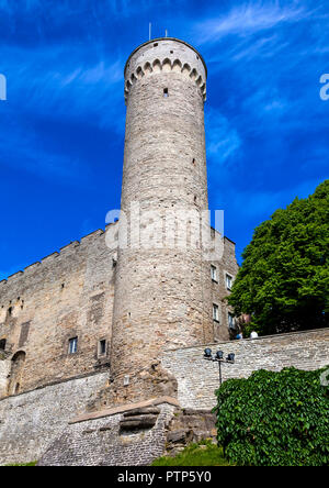 Pikk Hermann Tower at Toompea Castle in Tallin capital of Estonia Stock Photo