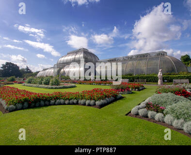KEW GARDENS, LONDON, UK SEPTEMBER 15, 2018: The Palm House at Kew Gardens, London, basks in late summer sun. It specializes in growing of palms and other tropical and subtropical plants.