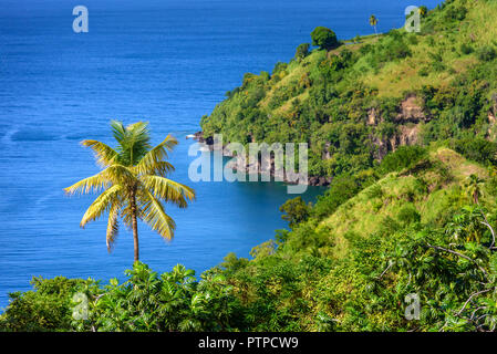 Sea and palm trees in Saint Vincent and the Grenadines, beautiful exotic paradise with mountains and beautiful perfect beaches and colorful turquoise Stock Photo