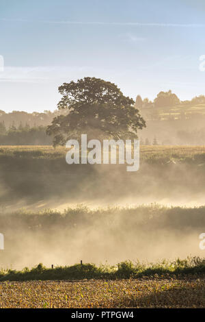 Morning mist in the lower Wye valley Stock Photo - Alamy