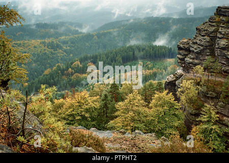 Czech Switzerland (Bohemian Switzerland or Ceske Svycarsko) National Park. Misty landscape with fir forest. Stock Photo