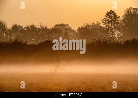 A man runs through the early morning mist as the sun rises over farmland near the village of Lower Wraxall in Wiltshire. Stock Photo