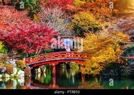 Asian woman wearing japanese traditional kimono in autumn park. Japan Stock Photo