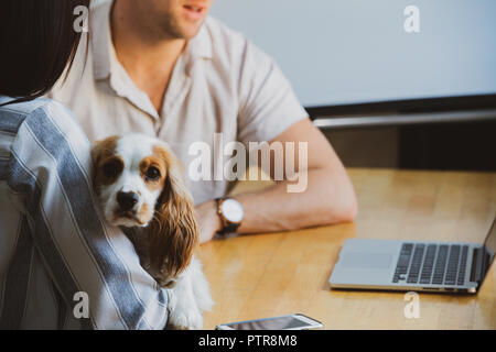 Businesspeople in a co-working space that functions as their office Stock Photo