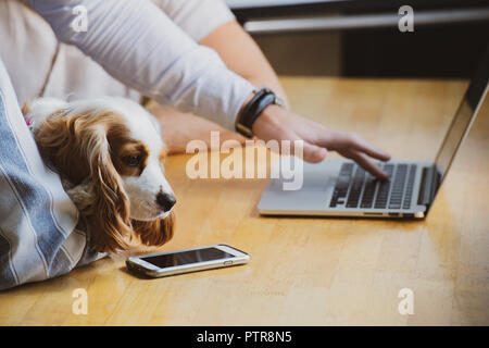 Businesspeople in a co-working space that functions as their office Stock Photo