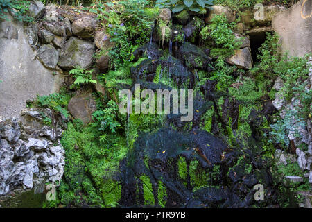 Running water on a rock wall Stock Photo