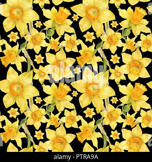 Watercolor botanical realistic floral pattern with narcissus. Bright yellow daffodil on a black background, path included
