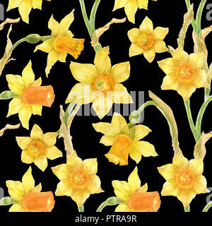 Watercolor botanical realistic floral pattern with narcissus. Bright yellow daffodil on a black background, path included
