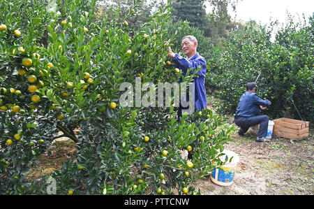 Fuzhou, China's Jiangxi Province. 11th Oct, 2018. Farmers Convey 