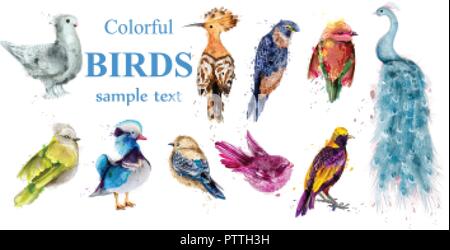 Colorful tropic birds set Vector watercolor. Beautiful peacock, dove, hoopoe, mandarin duck Stock Vector