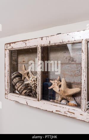 Seashells, bottle and buoys in glass display cabinet Stock Photo