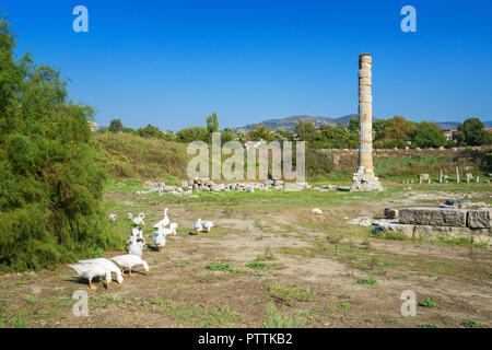 Temple of Artemis ruins - one of the seven wonder of the ancient world - Selcuk, Turkey. Stock Photo