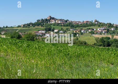 Vineyards at Gabiano, Alessandria, Monferrato, Piedmont, Italy. Summer landscape