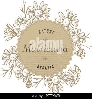 Round paper emblem over chamomiles. Hand drawn vector illustration Stock Vector