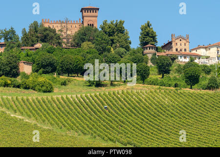 Vineyards at Gabiano, Alessandria, Monferrato, Piedmont, Italy. Summer landscape