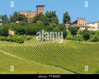Vineyards at Gabiano, Alessandria, Monferrato, Piedmont, Italy. Summer landscape Vineyards at Gabiano, Alessandria, Monferrato, Piedmont, Italy. Summer landscape