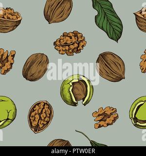 Vector seamless pattern of walnuts. Hand drawn vector illustration Stock Vector