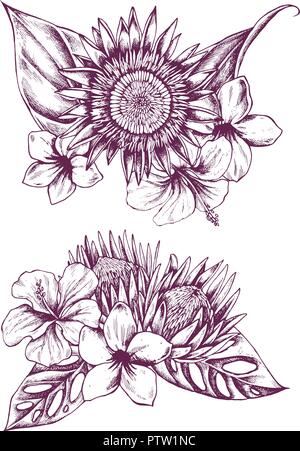 Hand drawn illustration of flowers and leaves. Highly detailed vector sketch Stock Vector