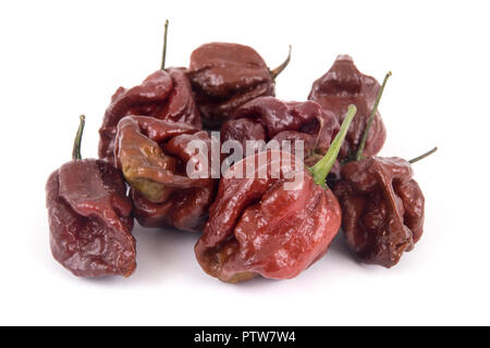 trinidad moruga scorpion chocolate extremely hot peppers variety Stock Photo