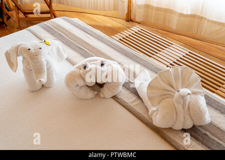 Pacaya Samiria Reserve, Peru, South America.  Towel-folding art creations of a snail, crab and elephant. Stock Photo