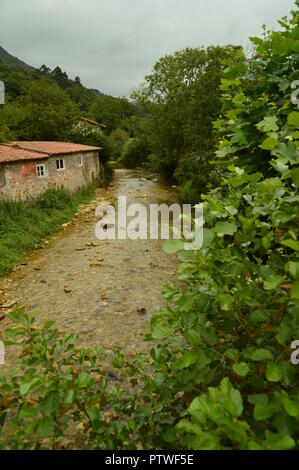 Mystic River On The Route Of The Encantau Camin In The - 