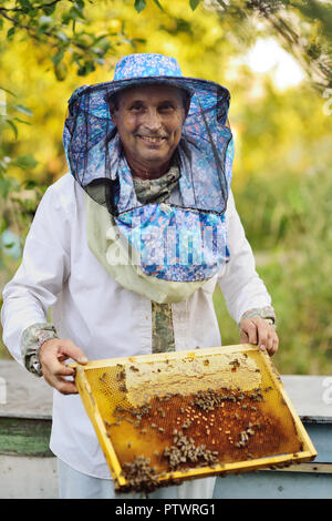a male bee-keeper takes out of the beehive or apiary the frame for bees Stock Photo