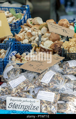 One of (9) images relating to various vegetables for sale on stalls in Munich's Market. Mushrooms are priced in Euros and are in German language. Stock Photo