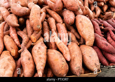 Sweet potatoes on display at the farmers market Stock Photo