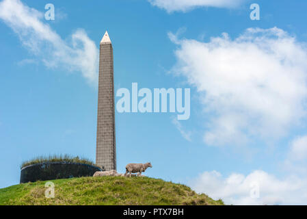 Sheep standing next to the Obelisk on top of one tree hill in auckland against a blue sky with clouds Stock Photo
