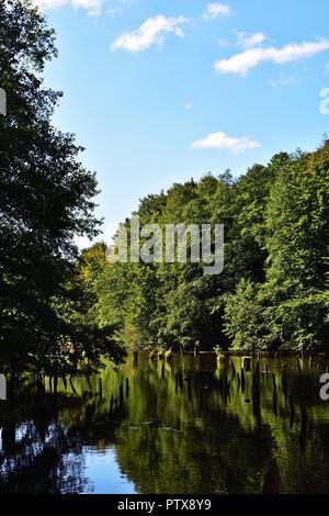 Hubertlaki Lake in Bakony hills, Hungary Stock Photo