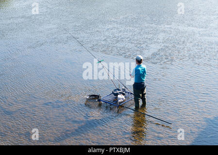 fisherman standing in the shallow River Severn with a fishing rod in Bewdley, Worcestershire, UK Stock Photo