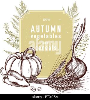 Vector collection of hand drawn autumn vegetables Stock Vector