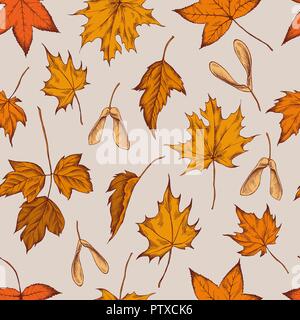 Vector seamless pattern of autumn pattern. Hand drawn vector illustration Stock Vector