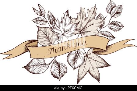 Ribbon design of autumn leaves with thank you sing. Hand drawn vector illustration Stock Vector