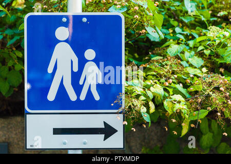 Street sign showing the direction of a foot path / walkway with green leafs and plants in the background. Stock Photo