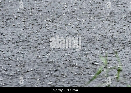 Rain falls to the surface of the lake. Stock Photo