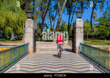 Man Ridding a Bike on a Public Park Bridge under a Blue Sky Stock Photo