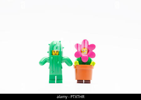 Lego Cactus Girl and flower pot girl Stock Photo - Alamy