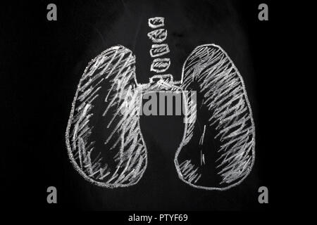 human lungs drawn in chalk on a blackboard, background image Stock Photo