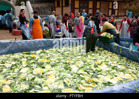 Volunteers prepare kimchi inside of a Buddhist temple, Woljeongsa Temple Gangwon-do Province, South korea. Stock Photo