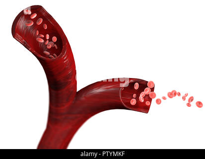Red blood cells and blood flow through a vein, small spherical cells that contain hemoglobin, a protein that gives a red color to the blood Stock Photo
