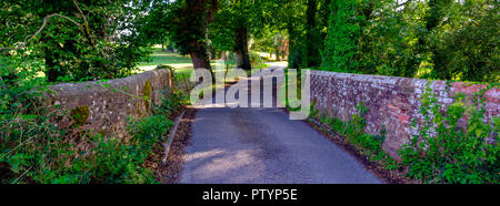 Hampshire country lane and bridge in late afternoon summer light, near Southwick in Hampshire, UK Stock Photo