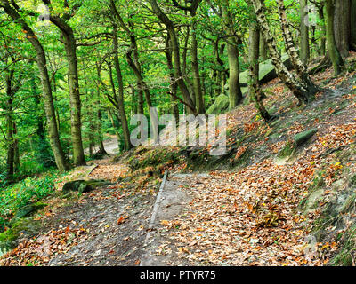 Path through early autumn woodland at Shipley Glen near Baildon West Yorkshire England Stock Photo