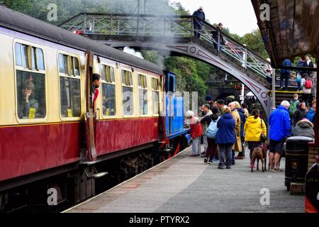 The Lakeside & Haverthwaite Railway,Lake District,Cumbria,england,UK Stock Photo