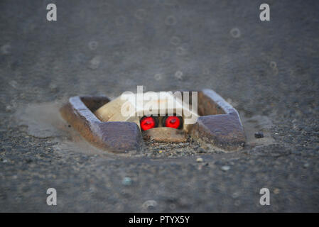 traffic passing cats eyes reflecting on road at dusk in leeds yorkshire united kingdom Stock Photo