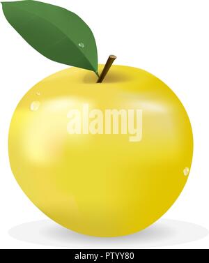 Green apple Stock Vector
