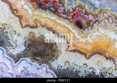 Crazy Lace Agate Stock Photo
