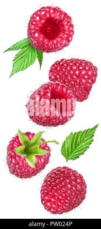 Set of five ripe raspberries with raspberry leaves isolated on white background. Flying motion effect. Stock Photo