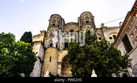 ancient gothic cathedral in Malaga Stock Photo