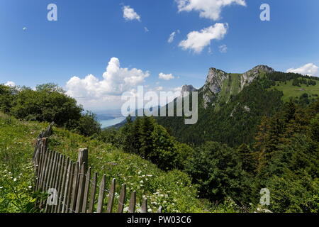 Meadow flowers and wooden picket fence with paragliders Lake Annecy and mountains in the distant from the hills around Col de la Forclaz France Stock Photo